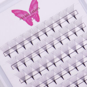 10D point base premade lash fans in Astara Lashes tray