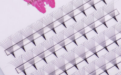 10D Point Base Premade Fans