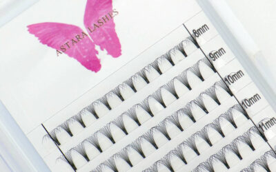 10D Premade Fans 0.05 C, D & DD Curl
