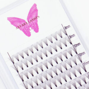 12D premade lash fans in Astara Lashes tray