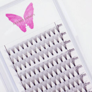 14D premade lash fans in Astara Lashes tray