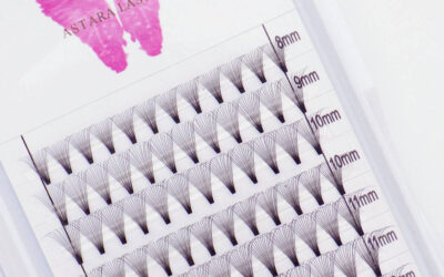 Mega Volume – 14D Premade Fans 0.05 C&D Curl