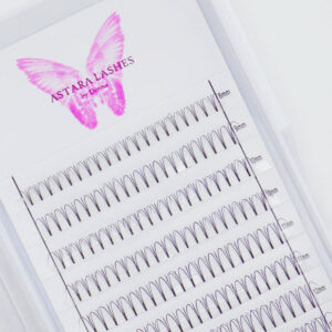 3D premade lash fans in Astara Lashes tray
