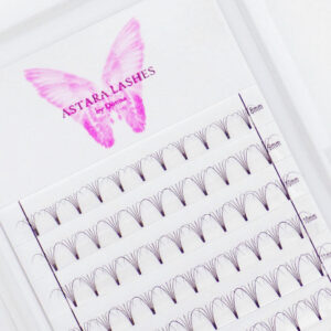 5D premade fans in Astara Lash tray