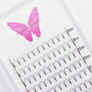 8D premade lash fans in Astara Lashes tray