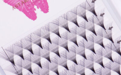 20D Point Base Premade Fans – 0.05 D Curl