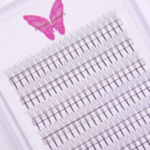 3D point base premade lash fans in Astara Lashes tray