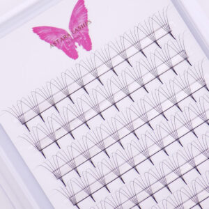 5D point base premade lash fans in Astara Lashes tray