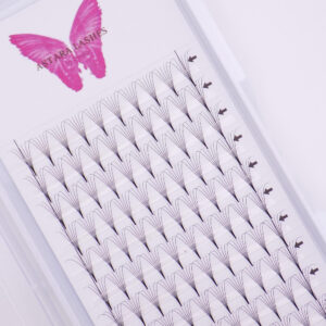 6D point base premade lash fans in Astara Lashes tray