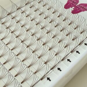 Brown 4D premade lash fans in Astara Lashes tray