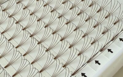 4D Brown Premade Fans – 0.10 D Curl