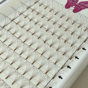 Brown premade lash fans in Astara Lashes tray