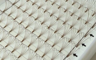 5D Brown Premade Fans – 0.07 D Curl