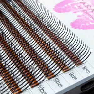 Angel lash extensions in Astara Lashes tray