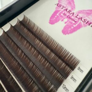Brown classic lash extensions in Astara Lashes tray