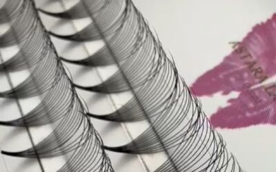 12D Point Base Premade Fans
