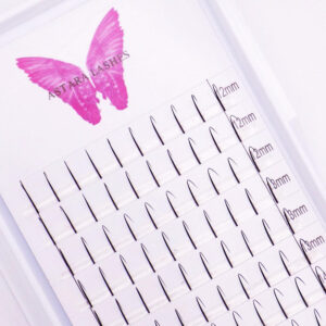 Lash spikes for eyelash extensions in Astara Lashes tray