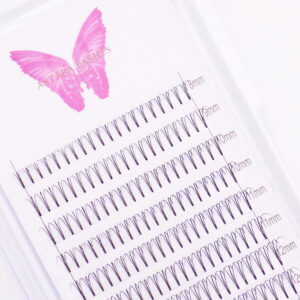 3D Hybrid lash extensions in Astara Lashes tray