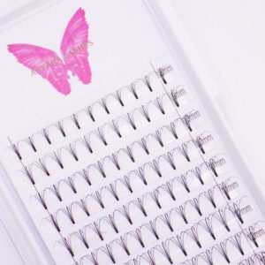 5D Hybrid lash extensions in Astara Lashes tray