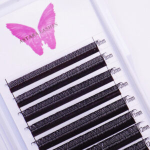 YY lash extensions in Astara Lashes tray